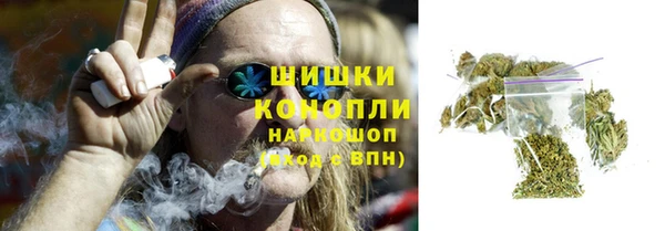 стаф Кинешма