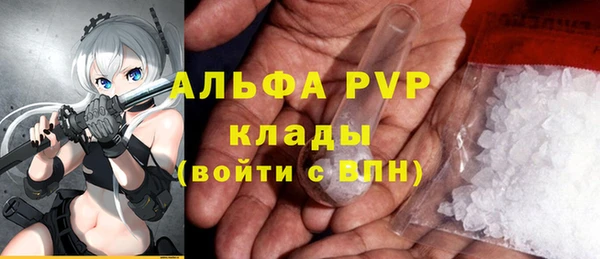 стаф Кинешма