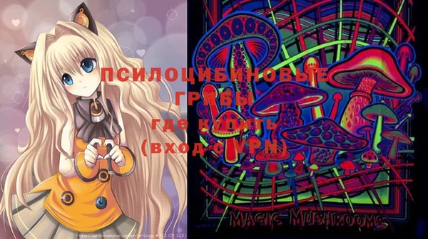 стаф Кинешма