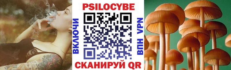Псилоцибиновые грибы GOLDEN TEACHER Купить закладки Покров